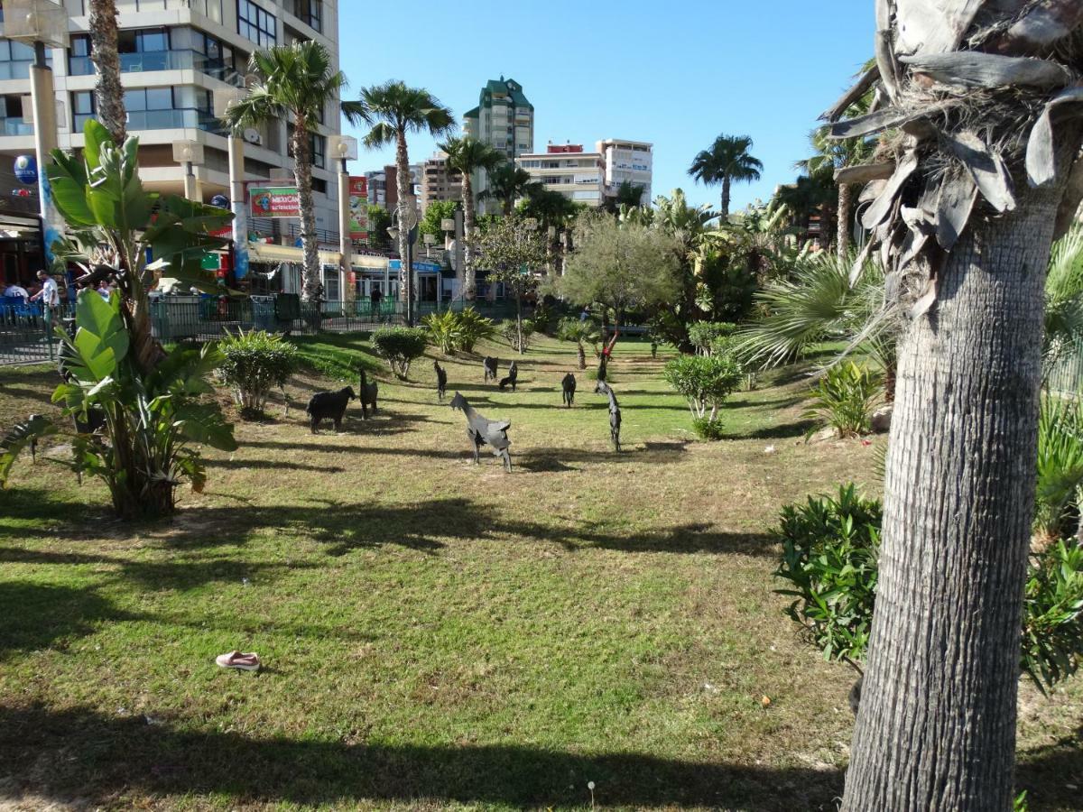 Apartment 2 Bedrooms, 250M Levante Beach Бенідорм Екстер'єр фото